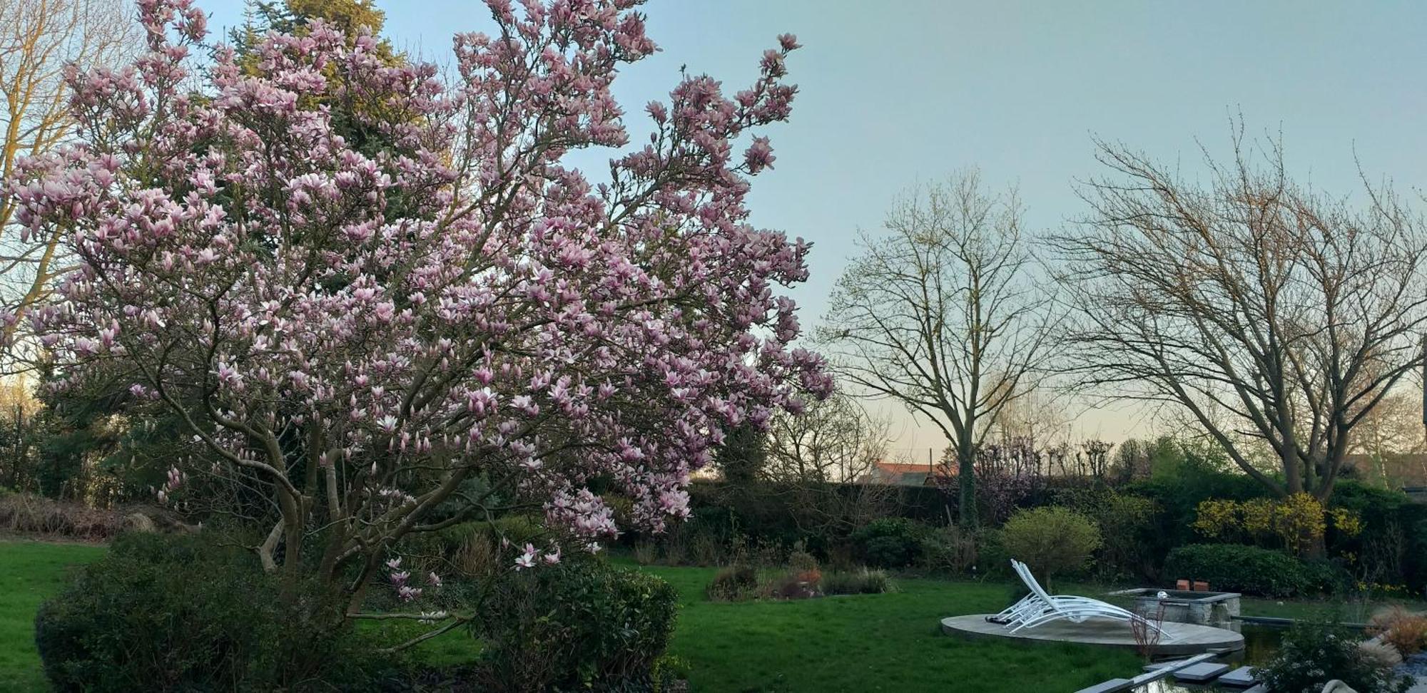 Le Mont Saint Roch , Chambre D'Hotes, B&B Nivelles Eksteriør bilde