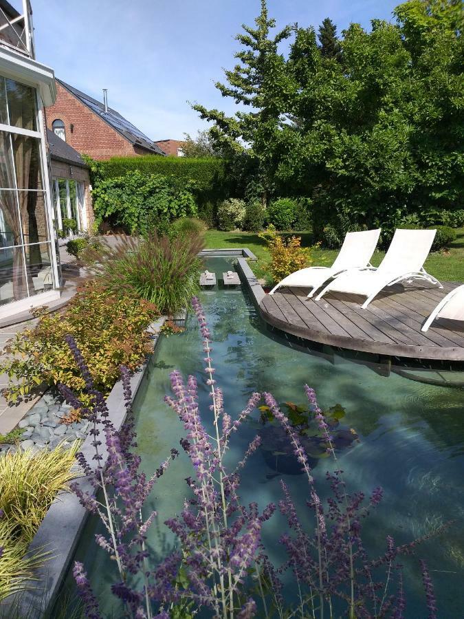 Le Mont Saint Roch , Chambre D'Hotes, B&B Nivelles Eksteriør bilde